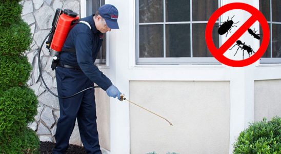 Germiyan Karınca İlaçlama böcek ilaçlama ve haşere kontrolü — ilaclama-tr.com
